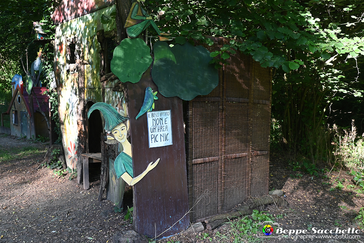 VBS_4921 - Il bosco fatato - Montaldo Roero.jpg
